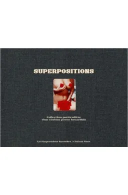 Superpositions : collection particulière d'un cinéma porno bruxellois