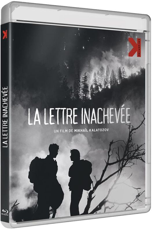 LETTRE INACHEVEE (LA)