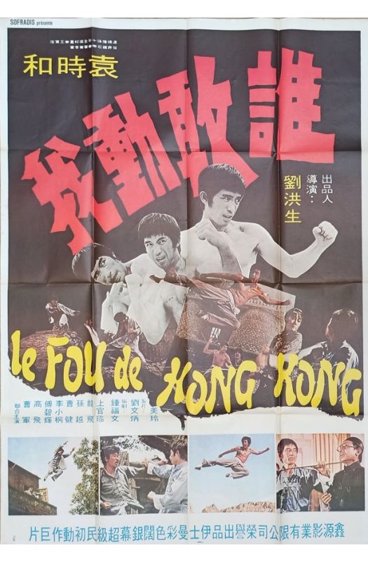 Fighting Karate Affiche Originale