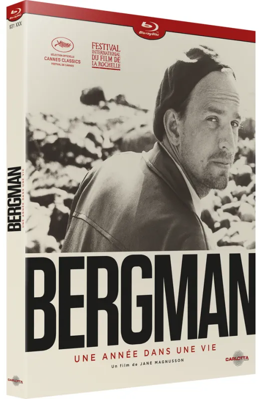 Bergman, une année dans une vie de Jane Magnusson