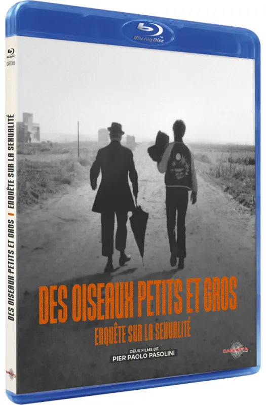 Des oiseaux petits et gros + Enquête sur la sexualité de Pier Paolo Pasolini