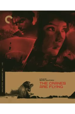 Cranes Are Flying - Criterion Collection