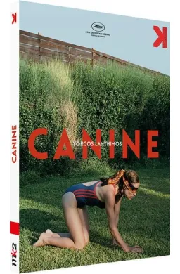 Canine