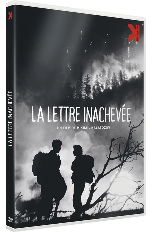 La Lettre inachevée