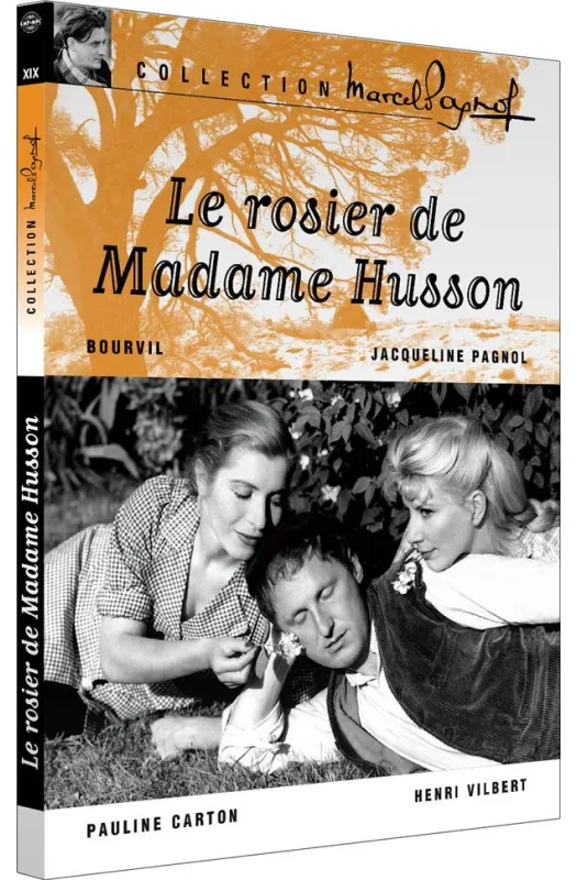 Le Rosier de Madame Husson