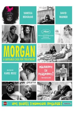 Morgan (1966) - DVD